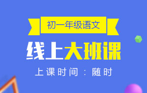 初一年級(jí)語文線上10人大班課
